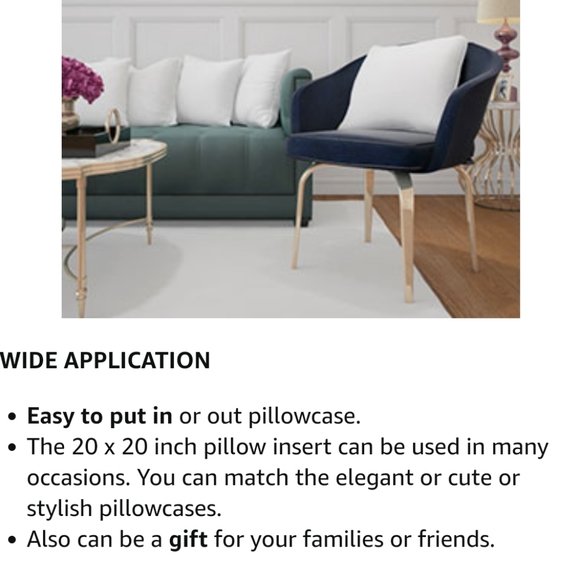 Aniobman Pillow inserts - set of 2- 20" x 20" - Picture 8 of 11